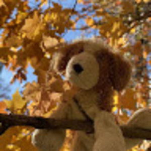 Meet your Posher, Jayfeather808